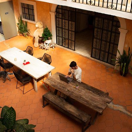 Lool Beh Hostal San Miguel de Allende Eksteriør bilde